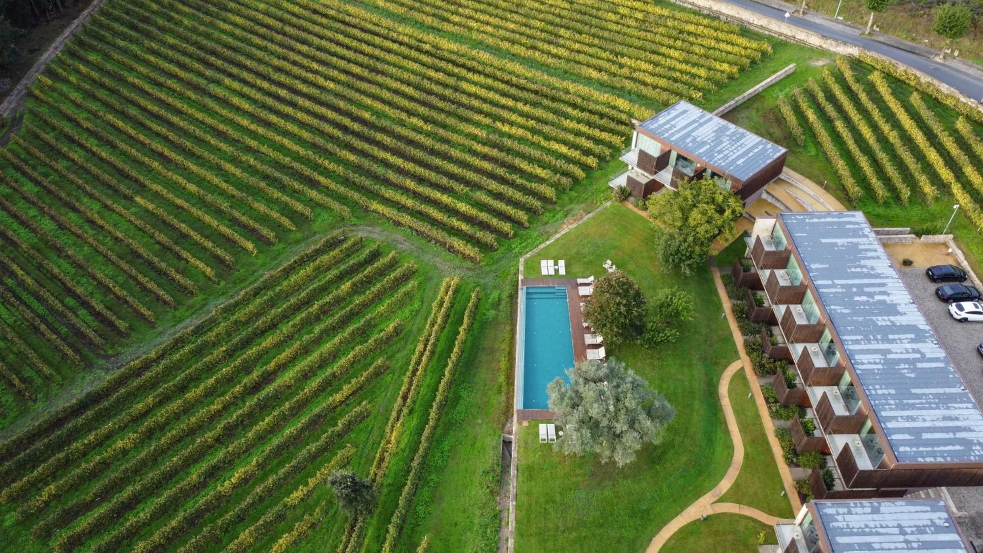 Torre De Gomariz Wine&spa Cervães
